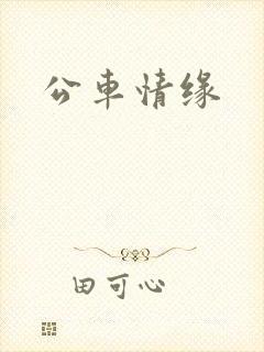 公车情缘