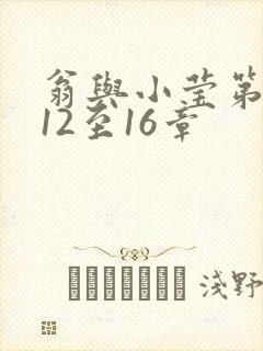 翁与小莹第十部12至16章封面