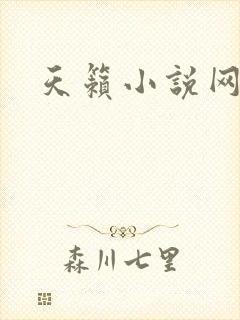 天籁小说网
