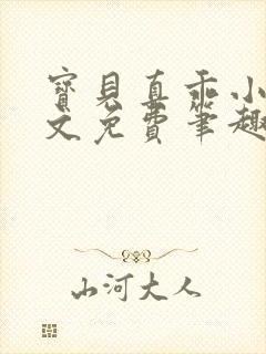 宝贝真乖小说全文免费笔趣阁封面