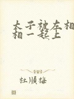 太子被左相和右相一起上