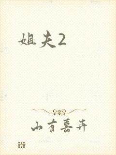姐夫2