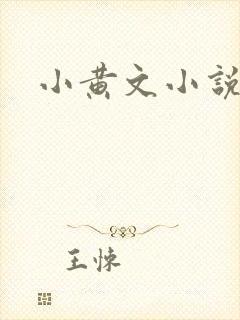 小黄文小说封面