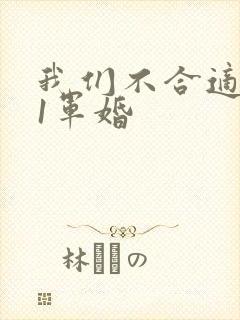 我们不合适1v1军婚