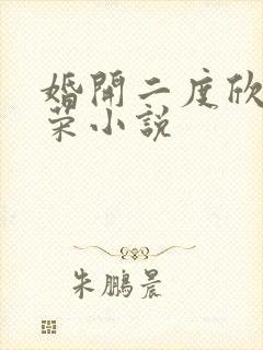 婚开二度欣欣向荣小说