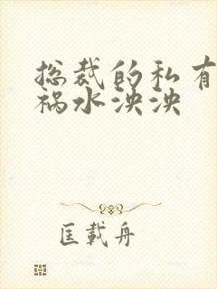 总裁的私有宝贝祸水泱泱