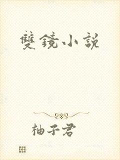 双镜小说封面