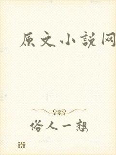 原文小说网封面