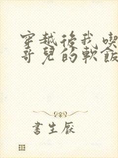 穿越后我吃到了哥儿的软饭炉山灰