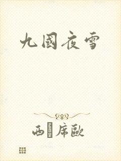 九国夜雪