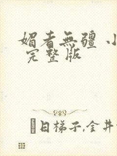 媚者无疆 小说 完整版