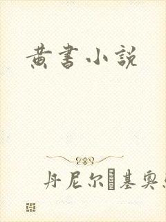 黄书小说