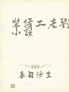 装修工老刘林雪小说封面