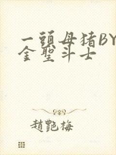 一头母猪BY黄金圣斗士封面