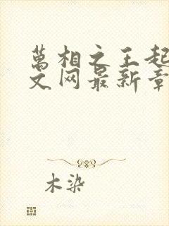 万相之王起点中文网最新章节封面