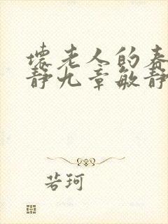 坏老人的春天敏静九章敏静封面