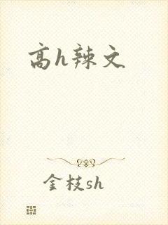 高h辣文封面