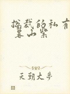 总裁的私有宝贝 暮山紫封面