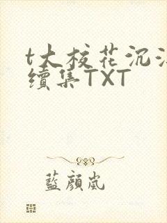 t大校花沉浮录续集TXT封面