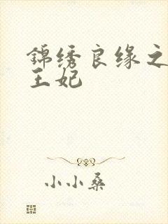 锦绣良缘之北地王妃