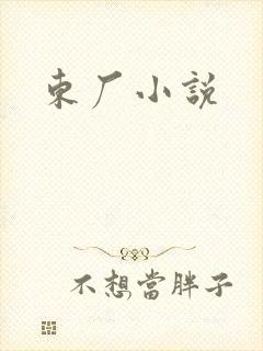 东厂小说