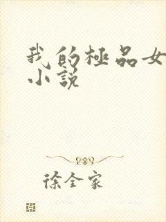 我的极品女老师小说
