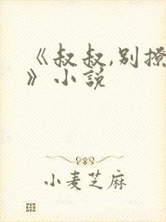 《叔叔,别撩我》小说