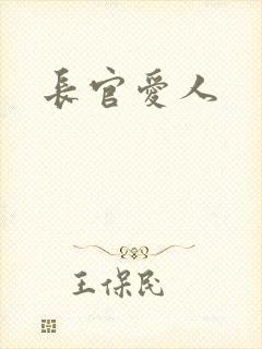 长官爱人封面