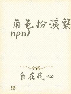 角色扮演系统(npn)