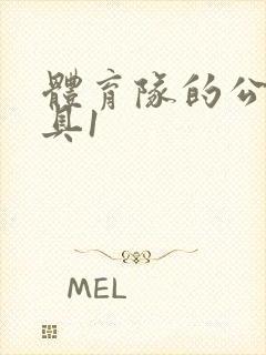 体育队的公用玩具1