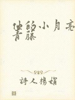 他的小月亮by青藤