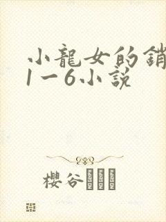 小龙女的销魂夜1一6小说封面