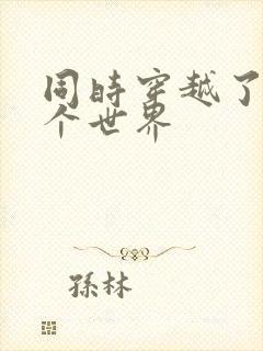 同时穿越了99个世界