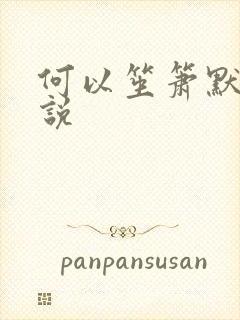 何以笙箫默 小说