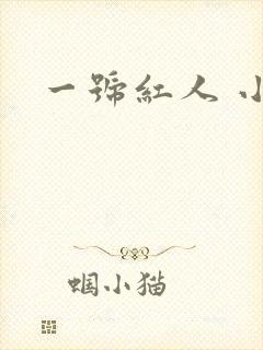 一号红人 小说封面