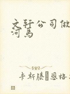 文轩公司做扩张河马