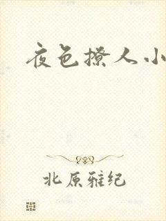 夜色撩人小说