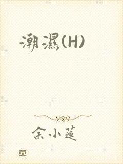 潮湿(H)