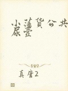 小荡货公共精厕尿壶封面