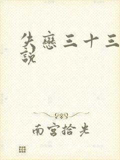 失恋三十三天小说