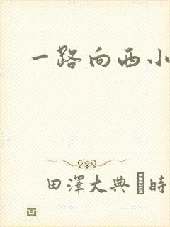 一路向西小说