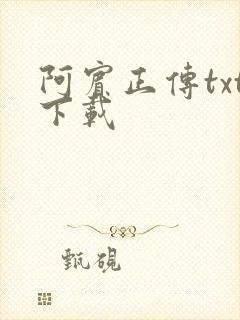 阿宾正传txt下载封面