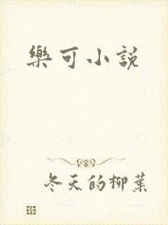 乐可小说封面