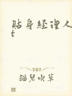 贴身经理人txt封面