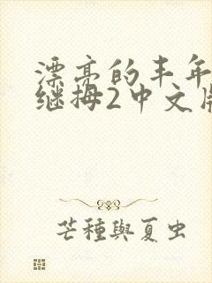漂亮的丰年经的继拇2中文版封面
