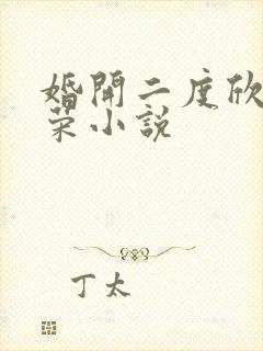 婚开二度欣欣向荣小说