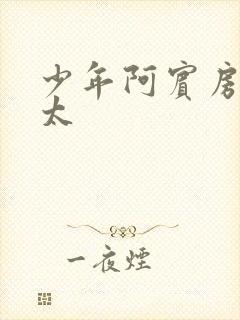 少年阿宾房东太太