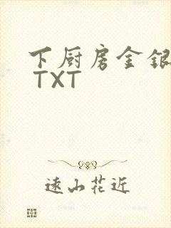 下厨房金银花露 TXT