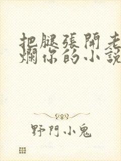 把腿张开老子臊烂你的小说