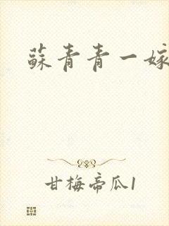 苏青青一嫁三夫